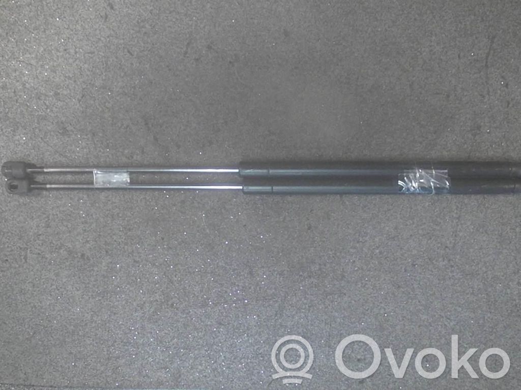 Tailgate/trunk strut/damper
