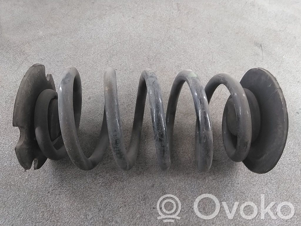 Rear coil spring