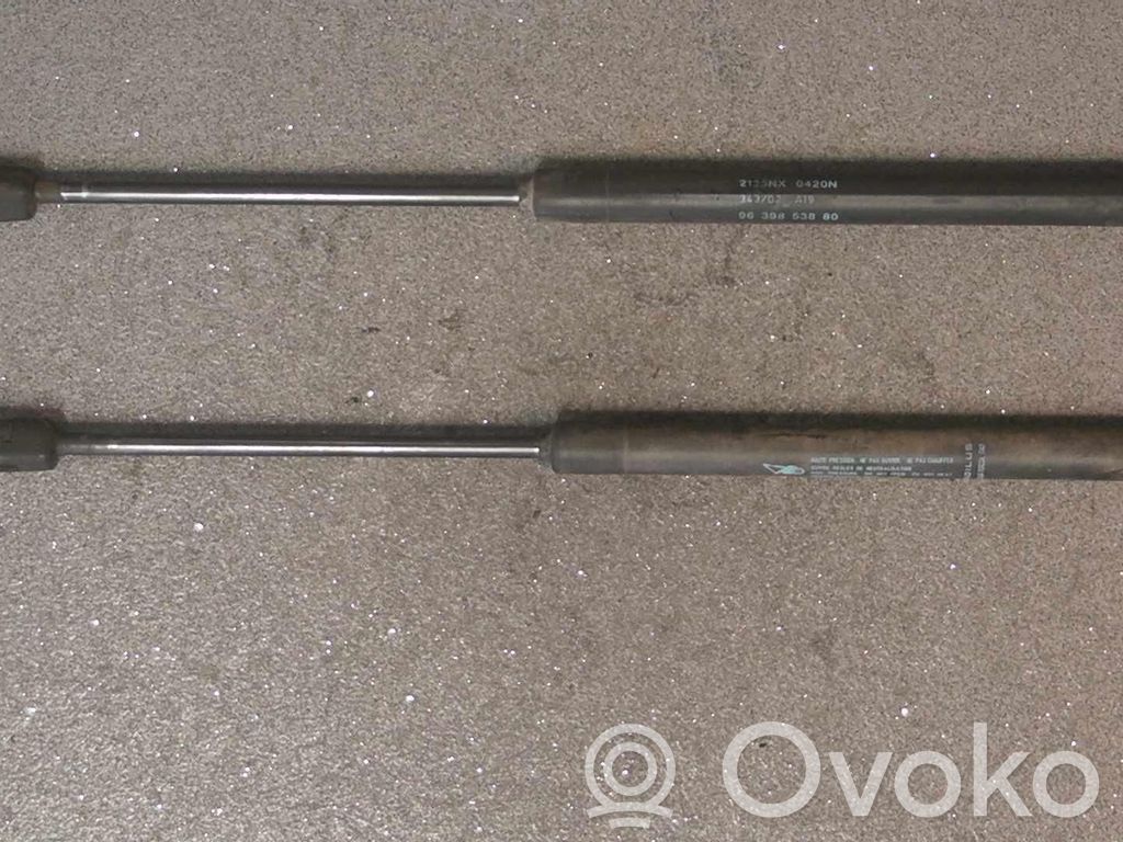 Tailgate/trunk strut/damper   2STK