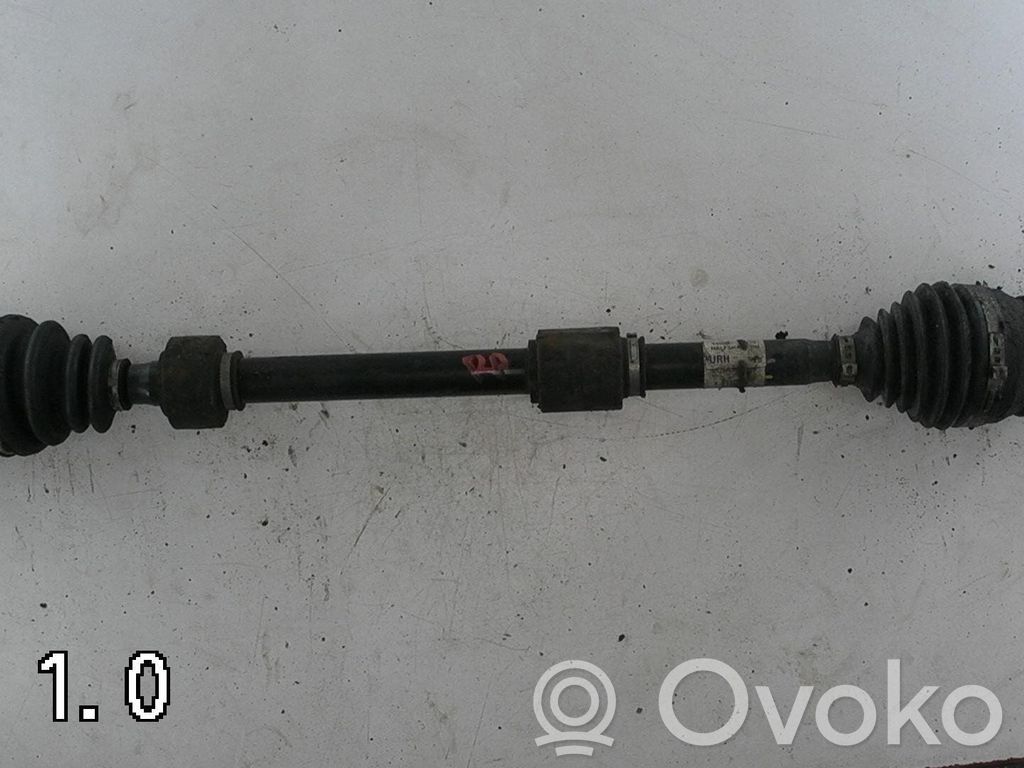 Semiasse anteriore   495001H210