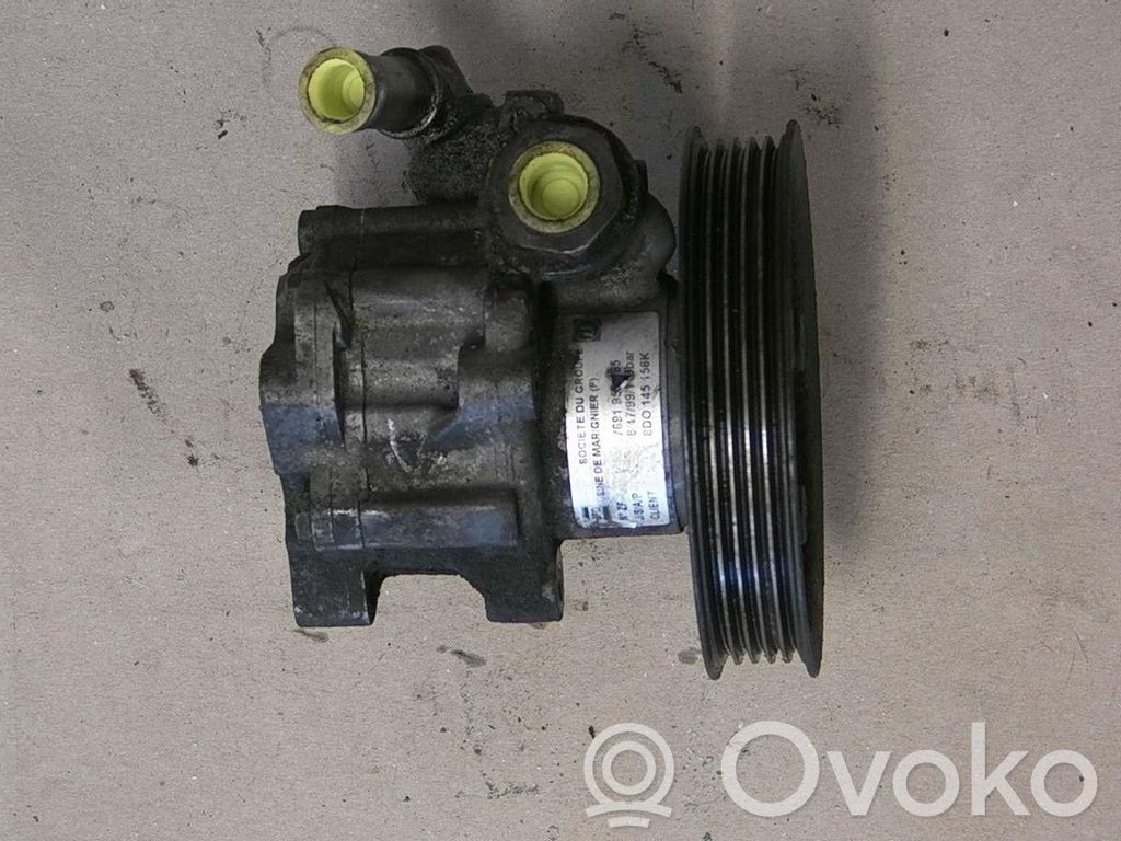 Servopumpe   8D0145156K