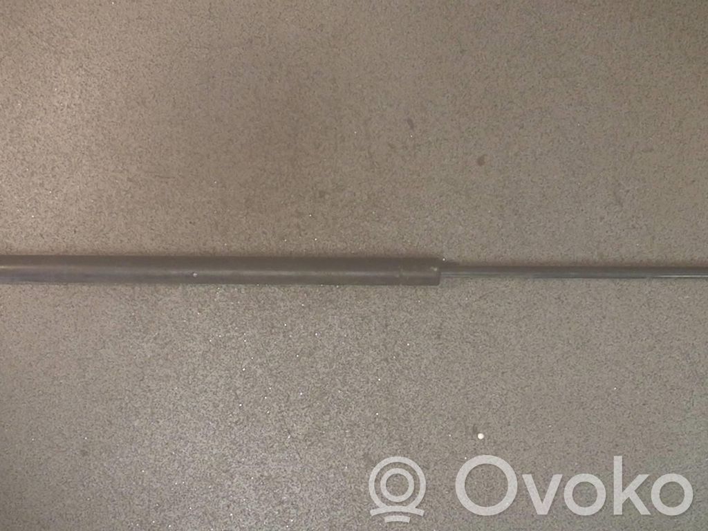 Tailgate/trunk strut/damper   STC