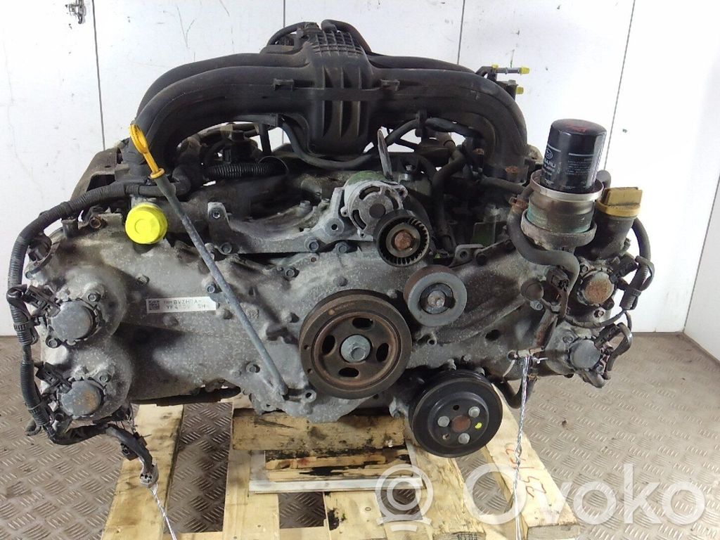 Motor   10100CD980