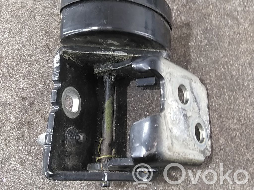 Citroen C5 Front door hinge set 