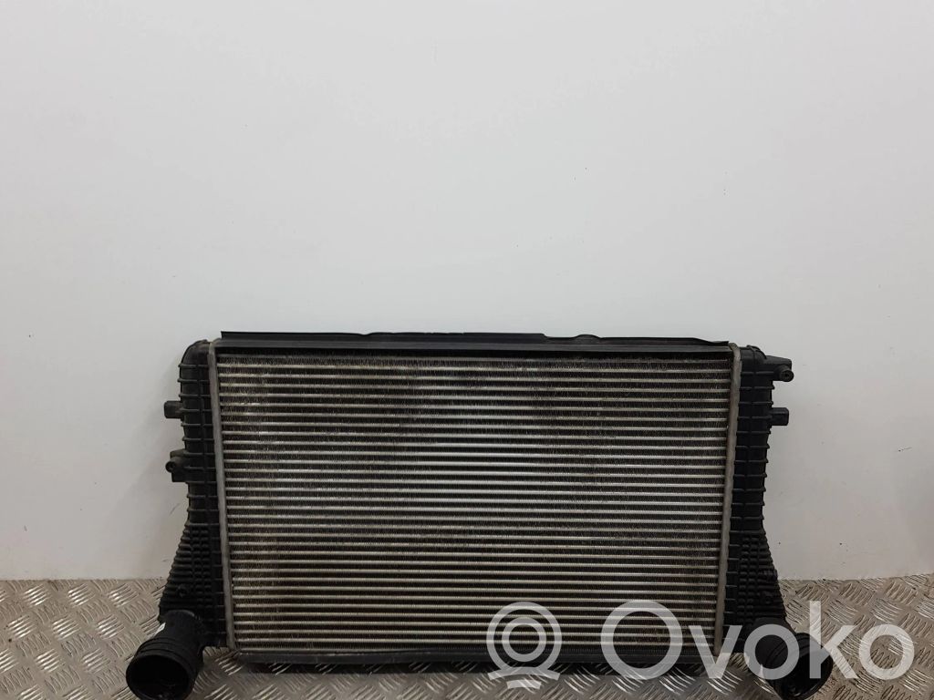 Volkswagen Golf V Interkūlerio radiatorius 