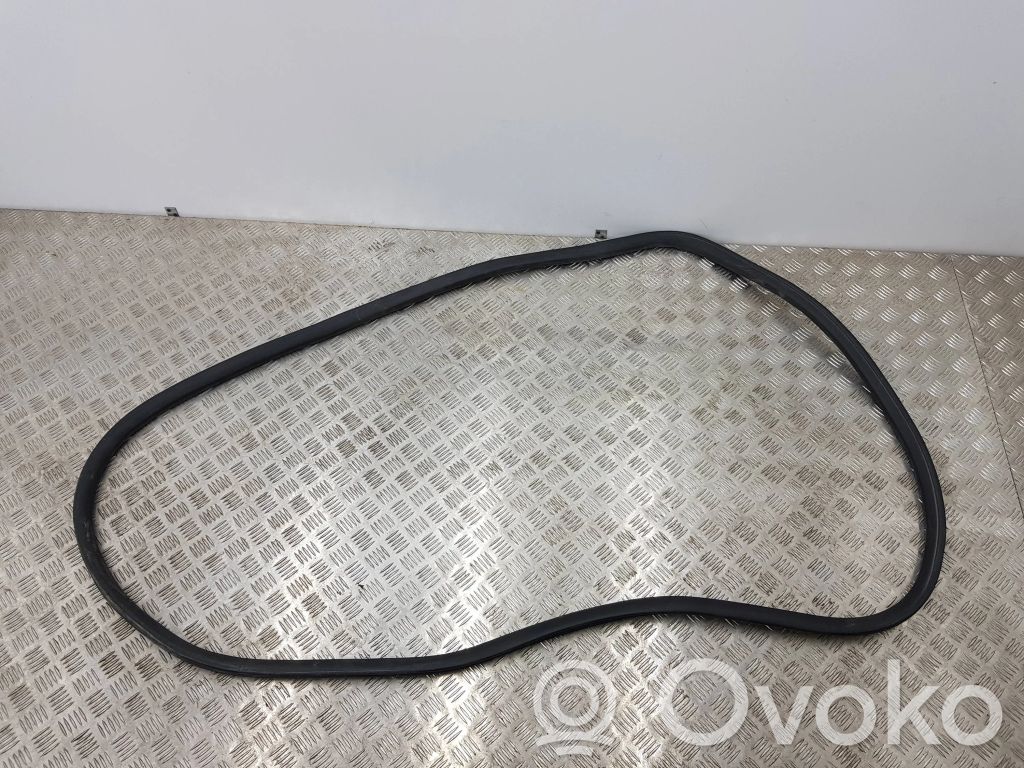 Front door rubber seal