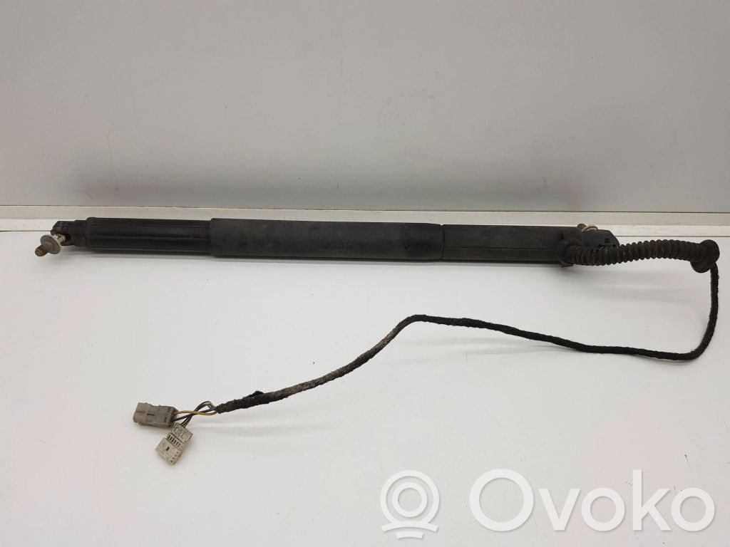 Tailgate strut   488765401