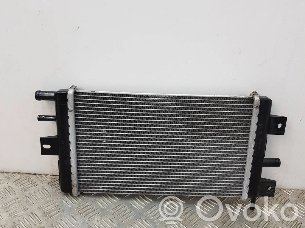 Coolant radiator   1301041BBG,PA66GF30,214109411R