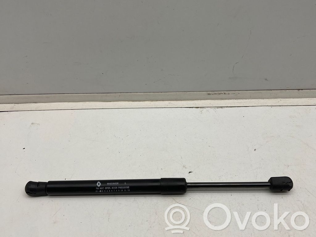 Dacia Spring Tailgate strut 