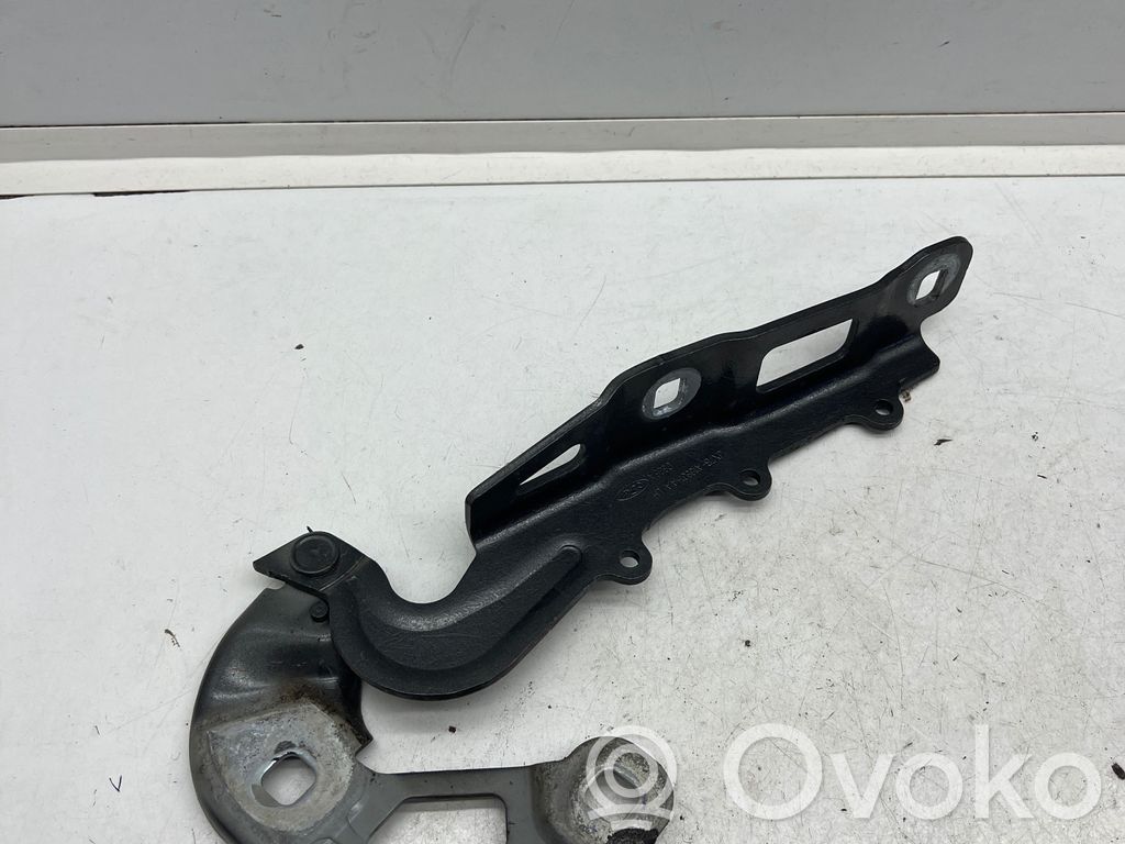 Ford Focus Dzinēja pārsega eņģe (-es) 