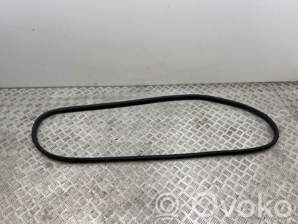 Renault Megane E-Tech Front door rubber seal 