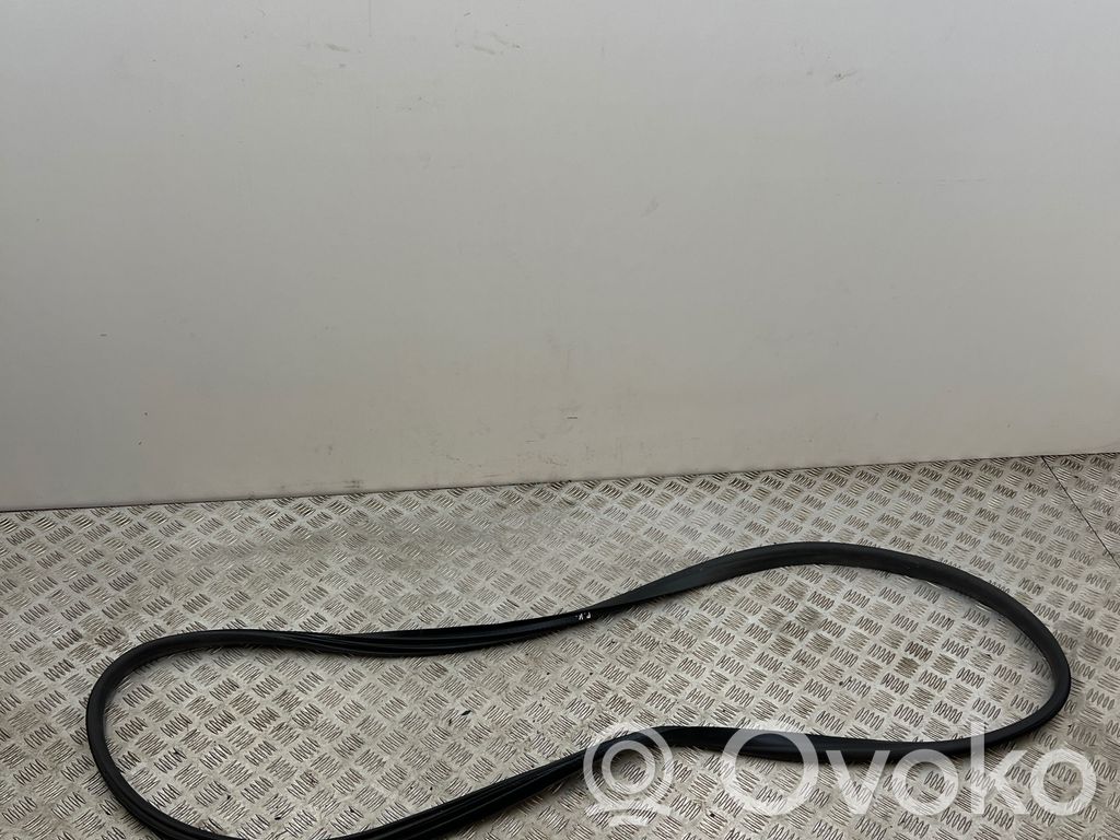 Renault Megane E-Tech Front door rubber seal 