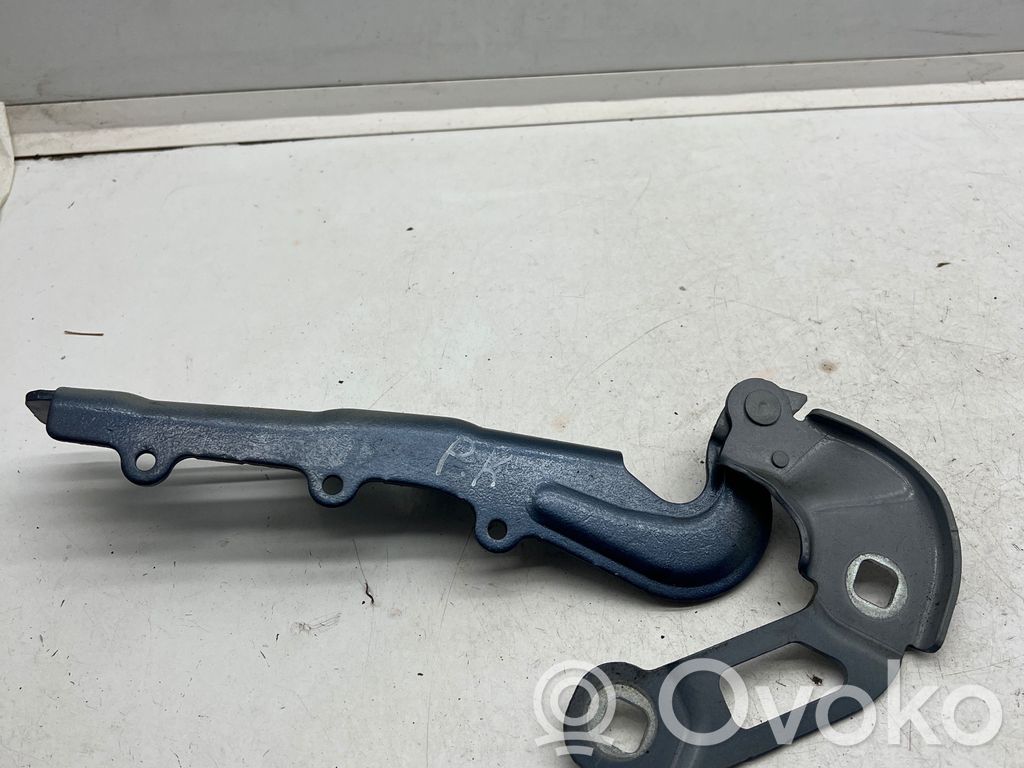 Ford Focus Dzinēja pārsega eņģe (-es) 