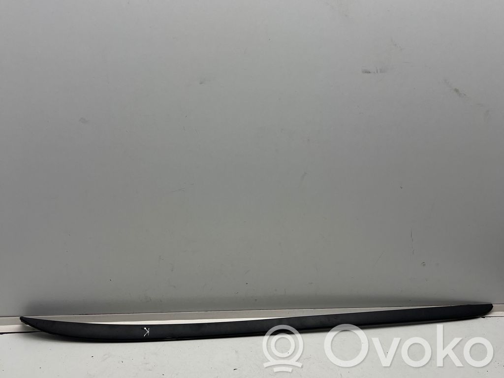 Windshield trim   BM51A03195