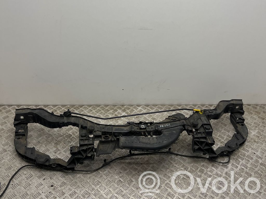 Radiatorių panelė   M738ASP6578,F1F19E635CA
