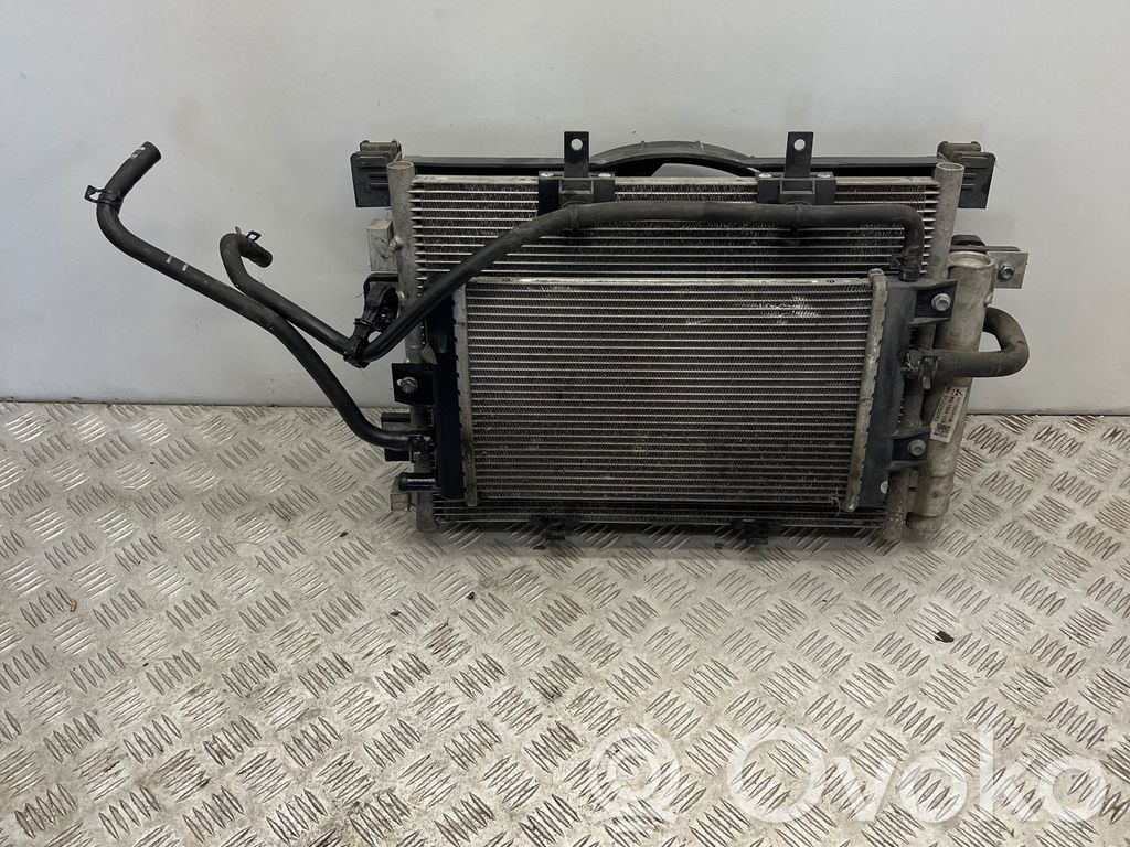 Dacia Spring Wasserkühler Kühlerpaket 