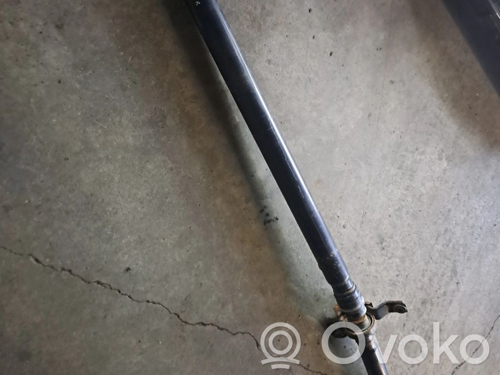 Drive shaft (set)