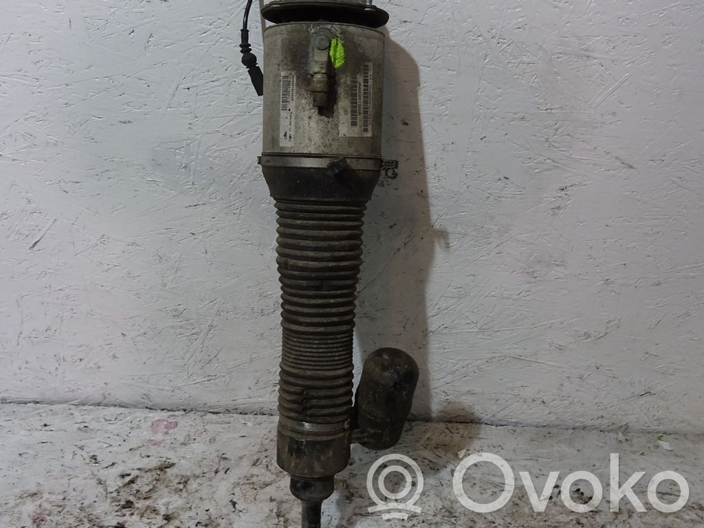 Amortyzator osi przedniej ze sprężyną   3D0616039AB,3D0616039AB