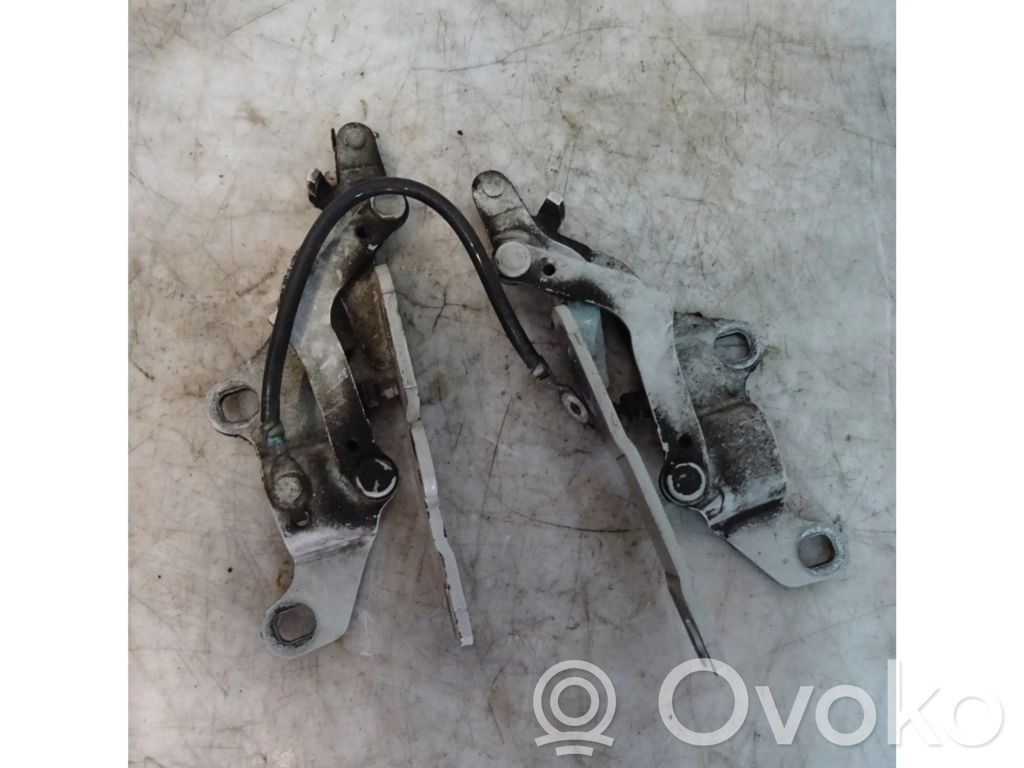 Engine bonnet/hood hinges
