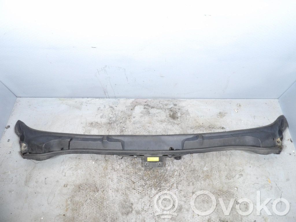 Citroen Jumper Moldura del limpia 