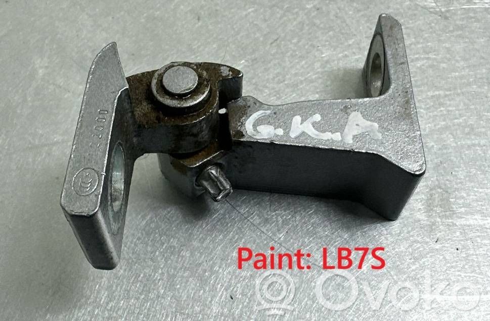 Volkswagen Tiguan Allspace Rear door lower hinge 