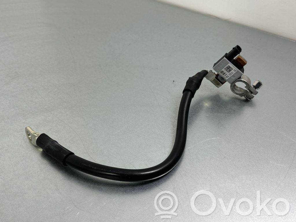 Audi A6 S6 C7 4G Minusinis laidas (akumuliatoriaus) 