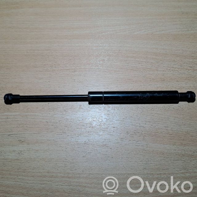 Konepellin kaasujousi   51238202638