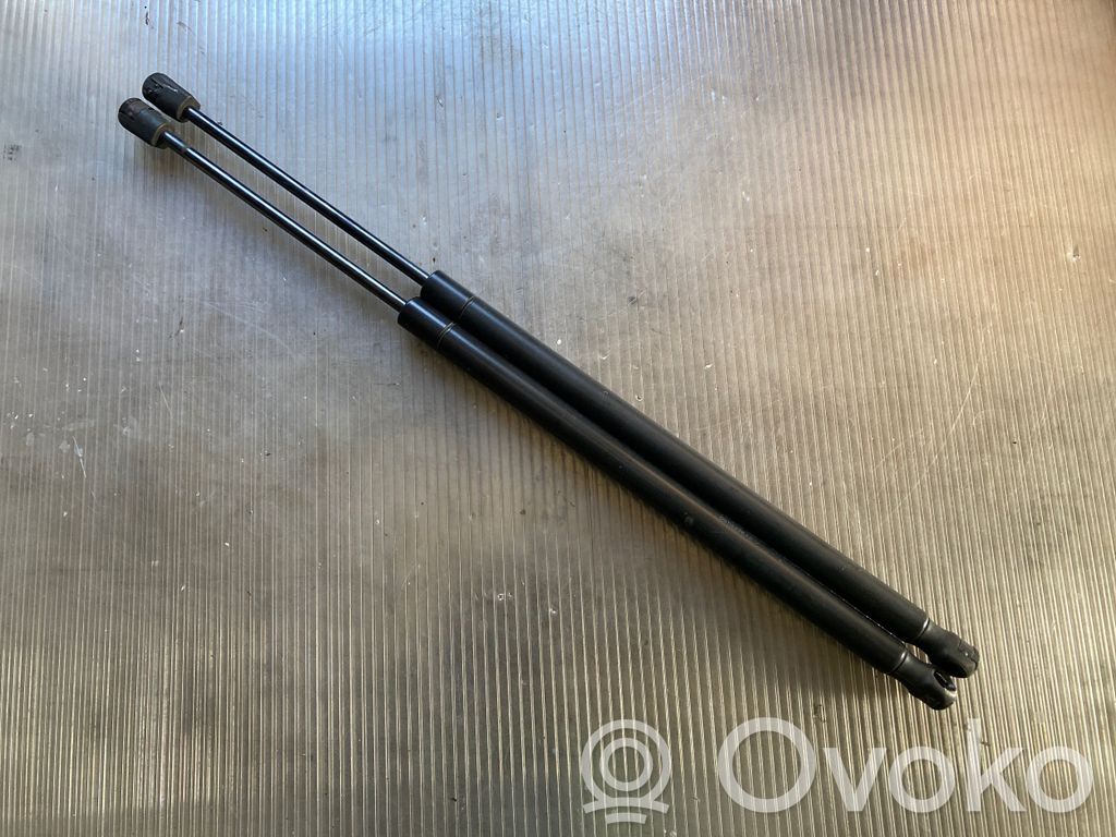 Jeep Compass Tailgate/trunk strut/damper 