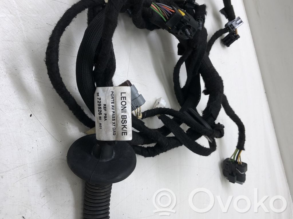 Cableado de puerta delantera   9672952680