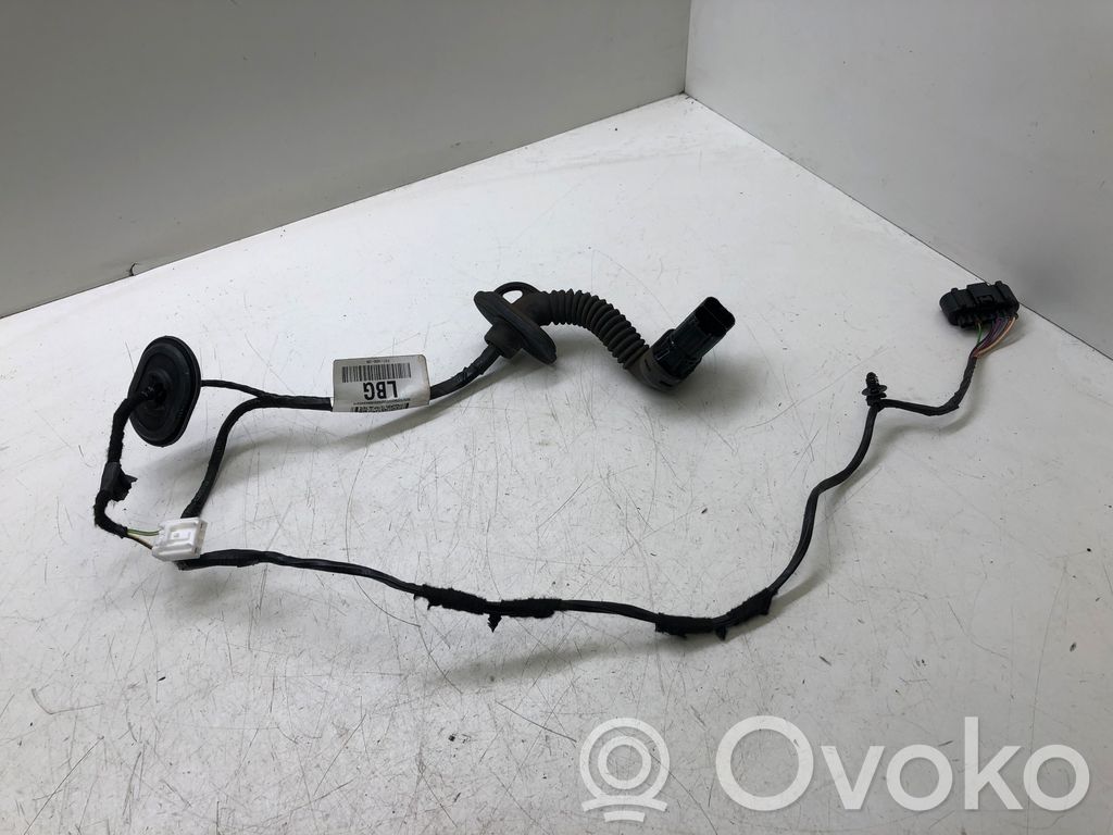 Ford Focus Cableado de puerta trasera 