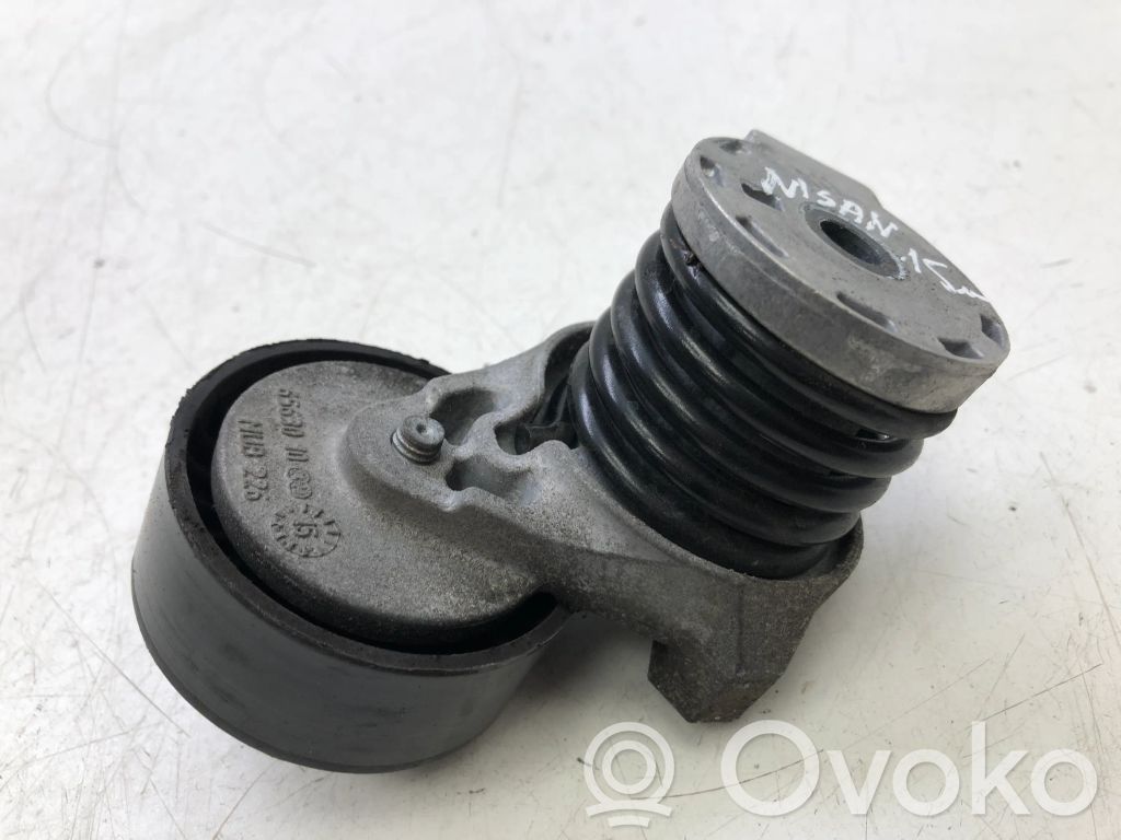 Nissan Qashqai Generatoriaus diržo įtempėjas 
