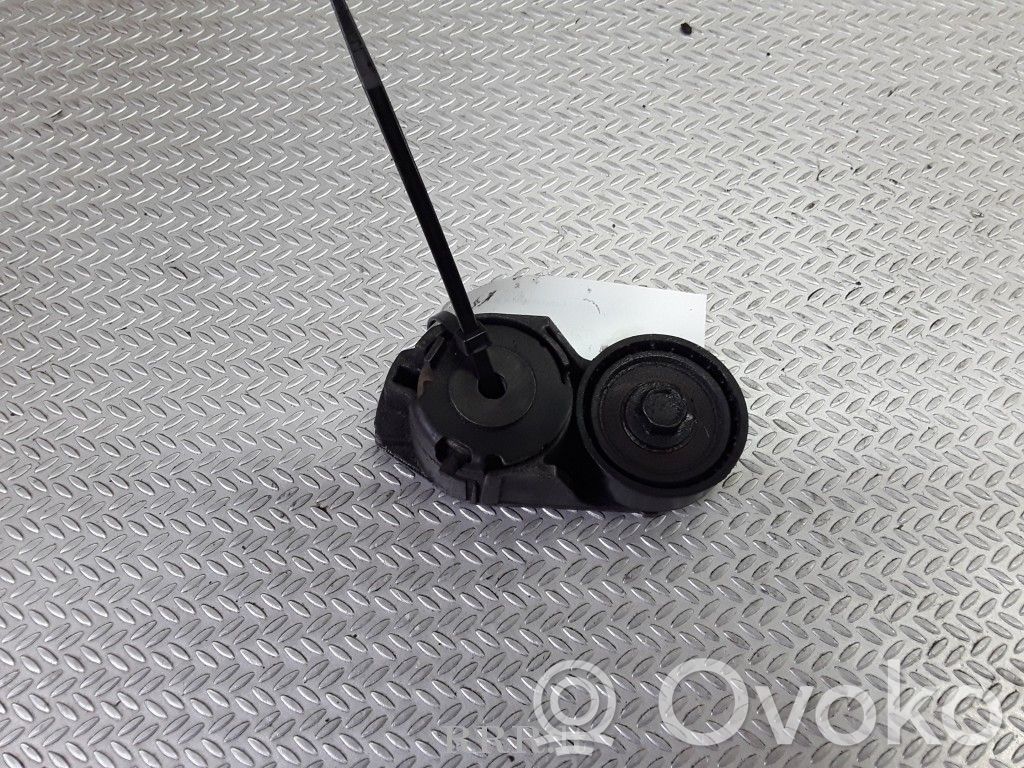 Napinacz paska alternatora   2S7E6A228AA