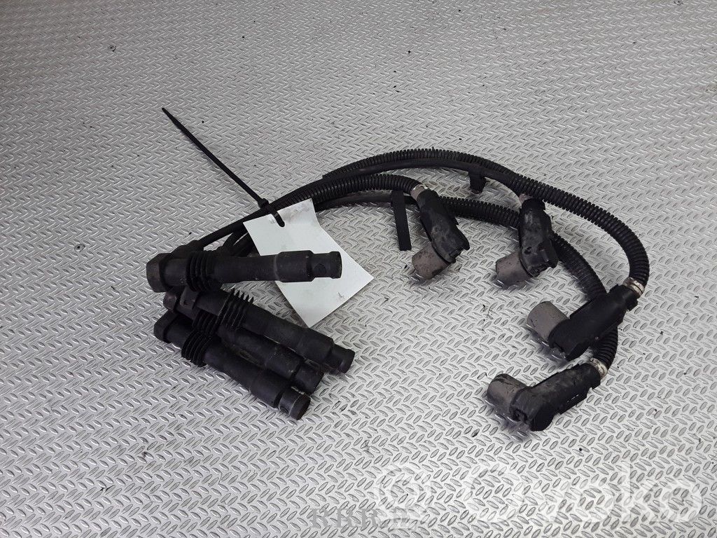Ignition plug leads   0300302103