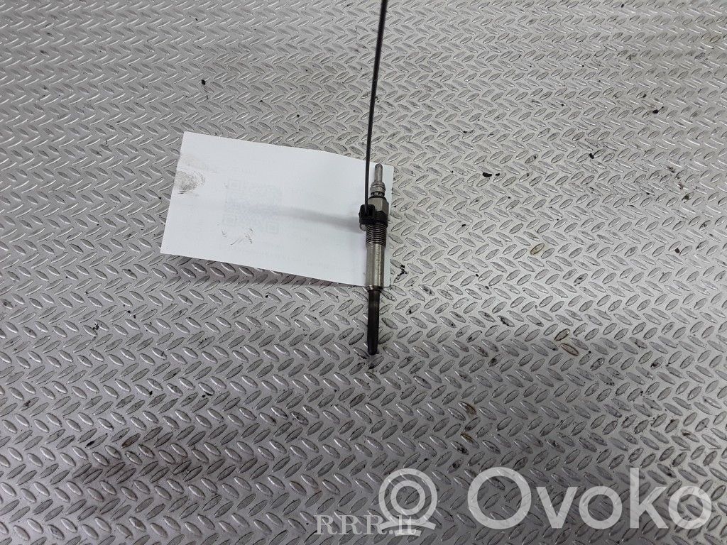 Glow plug   1721810,5109
