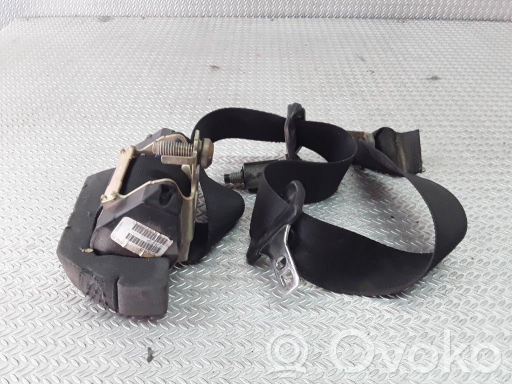 Cinturón trasero