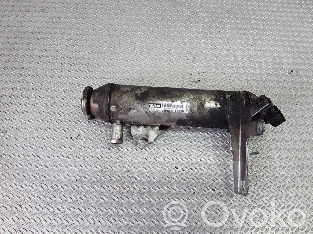 EGR dzesētājs   988252E