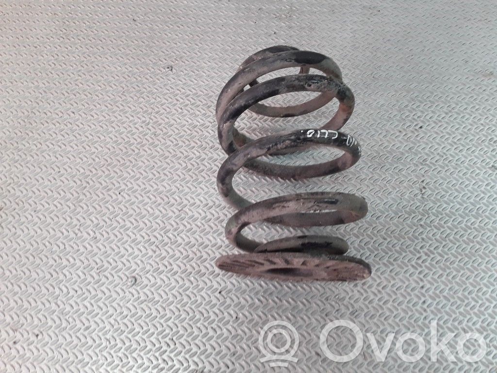 Rear coil spring