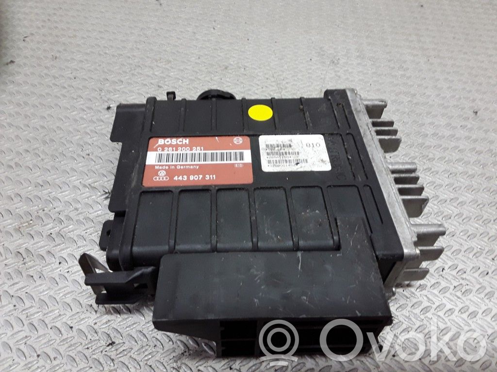 Engine control unit/module   0261200251,443907311