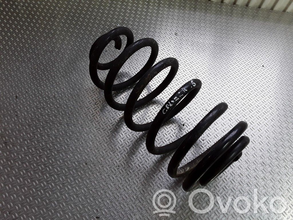 Rear coil spring