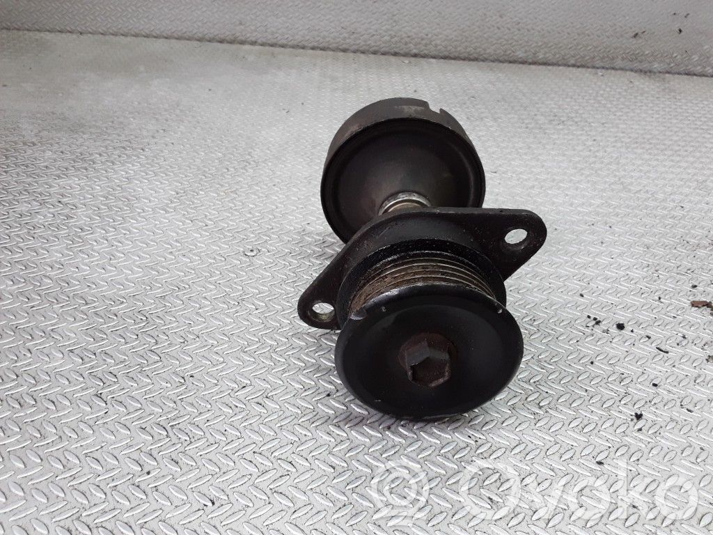 Ford Focus Alternator pulley 