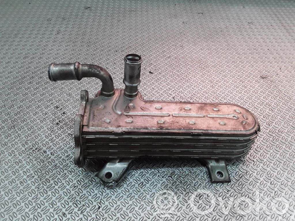 Chłodnica spalin EGR   038131513AD