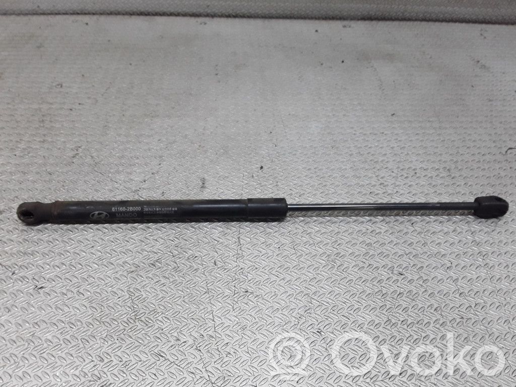 Hyundai Santa Fe Amortizor hayon 