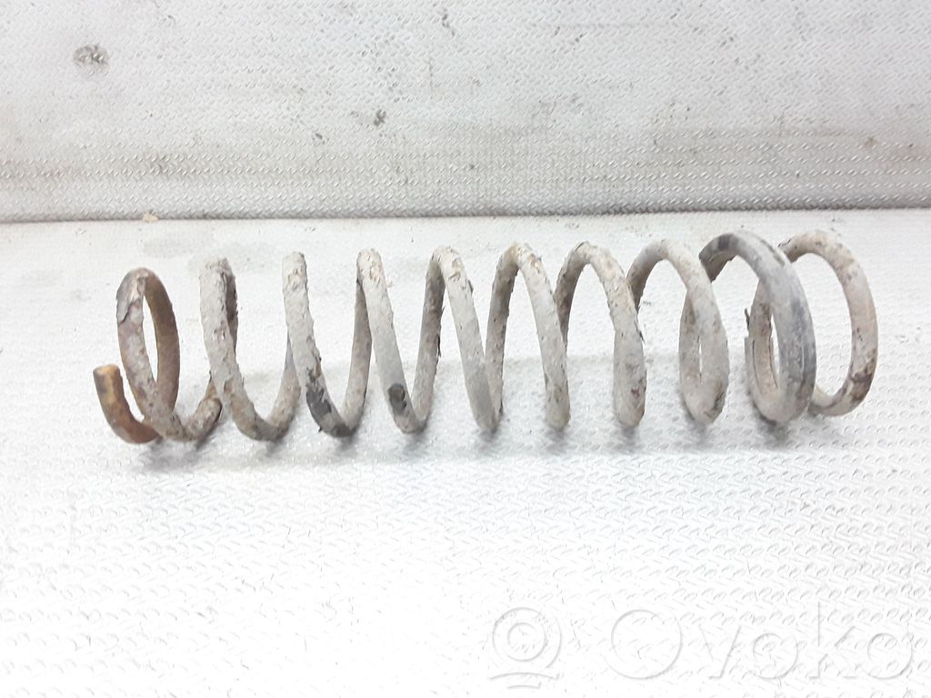 Muelle espiral trasero