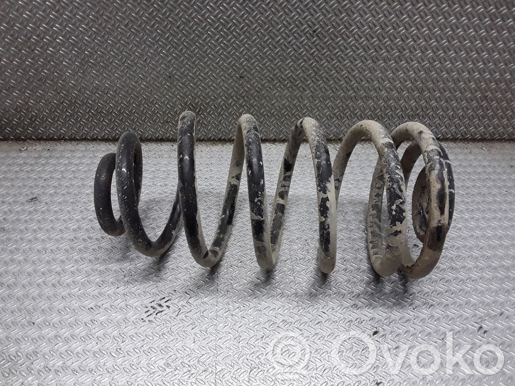 Rear coil spring