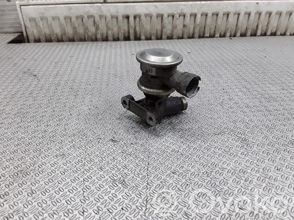 Seat Alhambra (Mk1) EGR-venttiili 