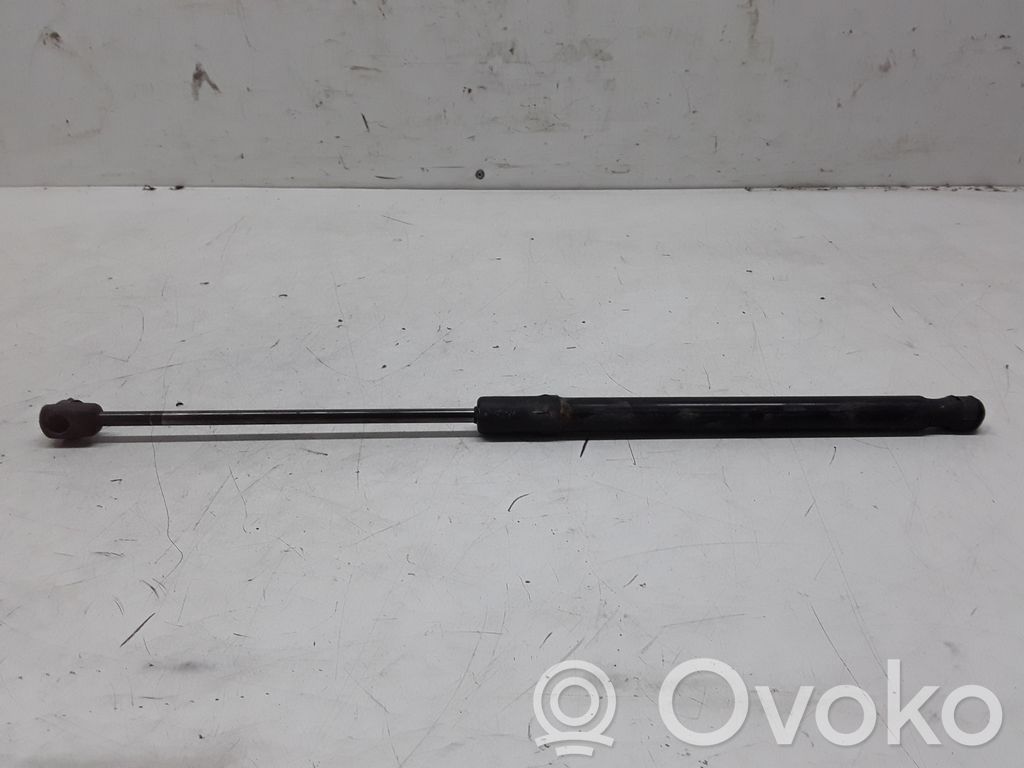 Renault Megane III Tailgate strut 