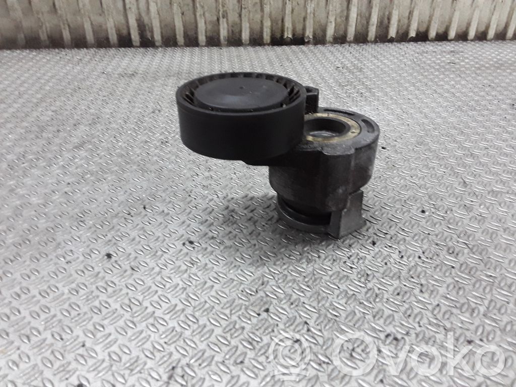 Renault Megane II Tensor de correa del alternador 