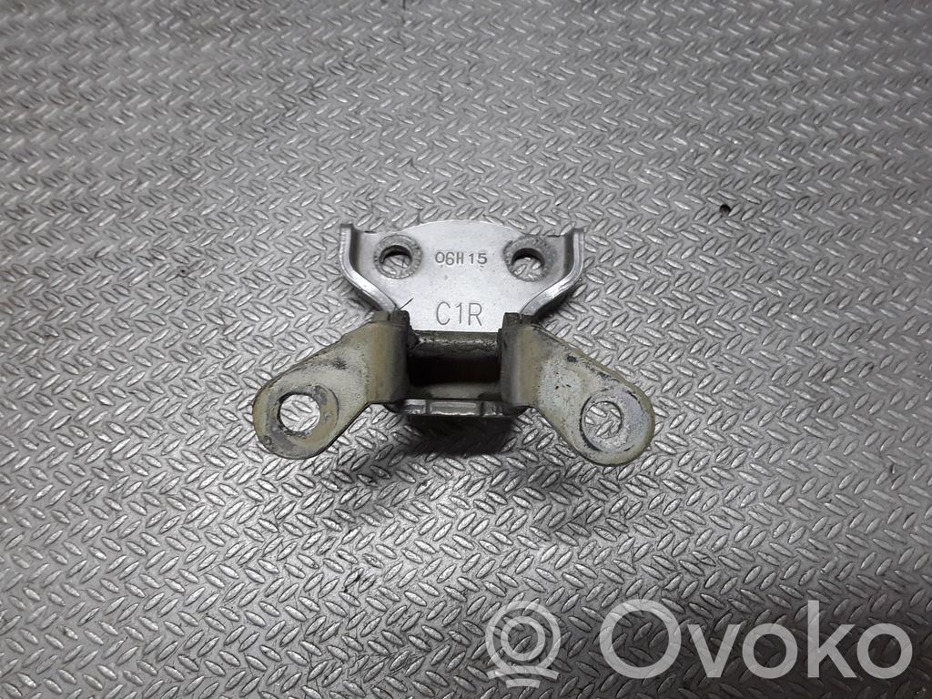 Opel Antara Rear door lower hinge 