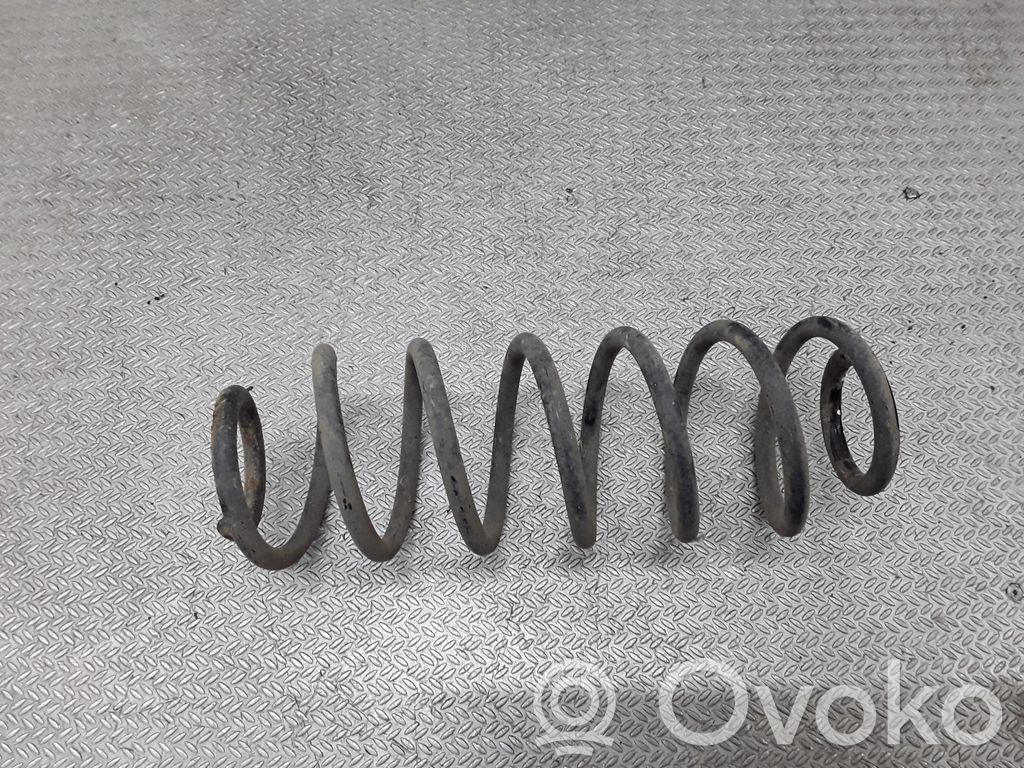 Rear coil spring