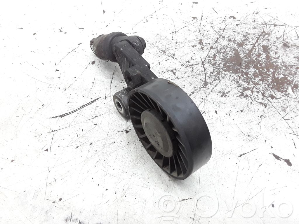 Tendicinghia generatore/alternatore   09180809